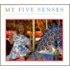 My Five Senses