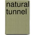 Natural Tunnel
