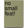 No Small Feat! door Pearl Gold Solomon