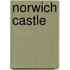 Norwich Castle by Nancy Ives