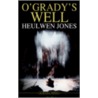 O'Grady's Well door Heulwen Jones