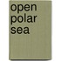 Open Polar Sea