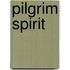 Pilgrim Spirit