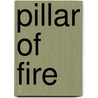 Pillar of Fire door Judith Tarr