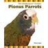Pionus Parrots
