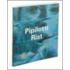 Pipilotti Rist