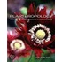 Planthropology