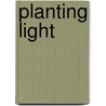 Planting Light door Anne Born