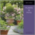 Plants in Pots