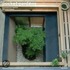 Pocket Gardens