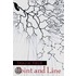Point And Line