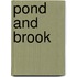 Pond and Brook
