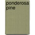 Ponderosa Pine