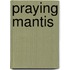 Praying Mantis