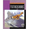 Psittacosaurus door Susan Heinrichs Gray