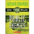 Public Enemies