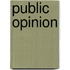 Public Opinion