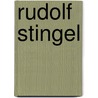 Rudolf Stingel by Francesco Bonami