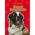 Saint Bernards