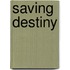 Saving Destiny