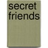 Secret Friends