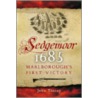 Sedgemoor 1685 door John Tincey