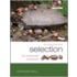 Selection 2e C