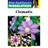 Clematis by W. Oudshoorn