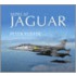 Sepecat Jaguar