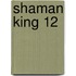Shaman King 12