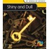 Shiny And Dull