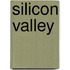 Silicon Valley