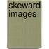 Skeward Images