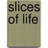 Slices Of Life