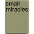 Small Miracles