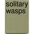 Solitary Wasps