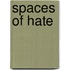Spaces of Hate