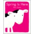 Spring Is Here