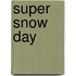 Super Snow Day