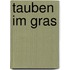 Tauben im Gras