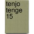 Tenjo Tenge 15
