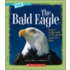 The Bald Eagle