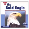 The Bald Eagle by Pamela Dell