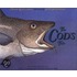 The Cod's Tale