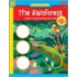 The Rainforest