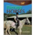 Therapy Horses