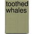 Toothed Whales