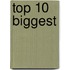 Top 10 Biggest