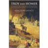 Troy & Homer C door Joachim Latacz