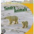 Tundra Animals